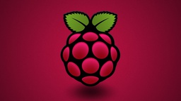 Raspberry Pi